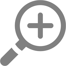 Search Icon