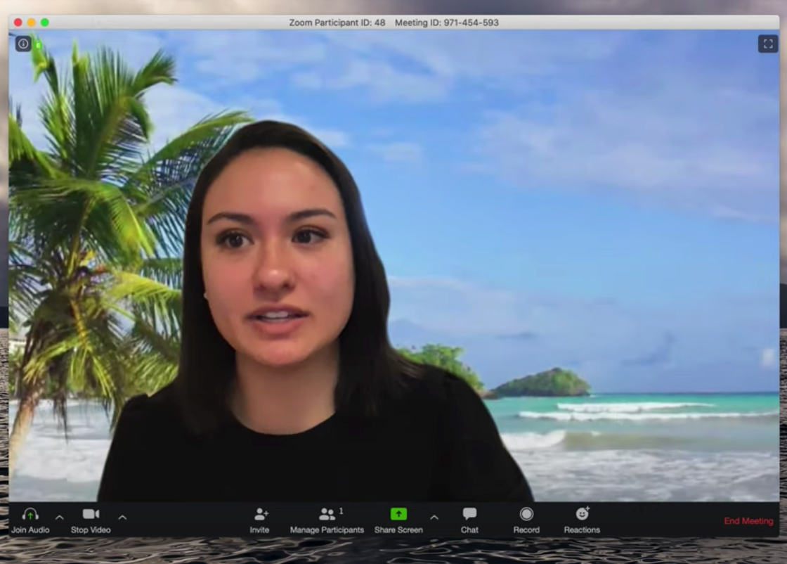 zoom virtual video background