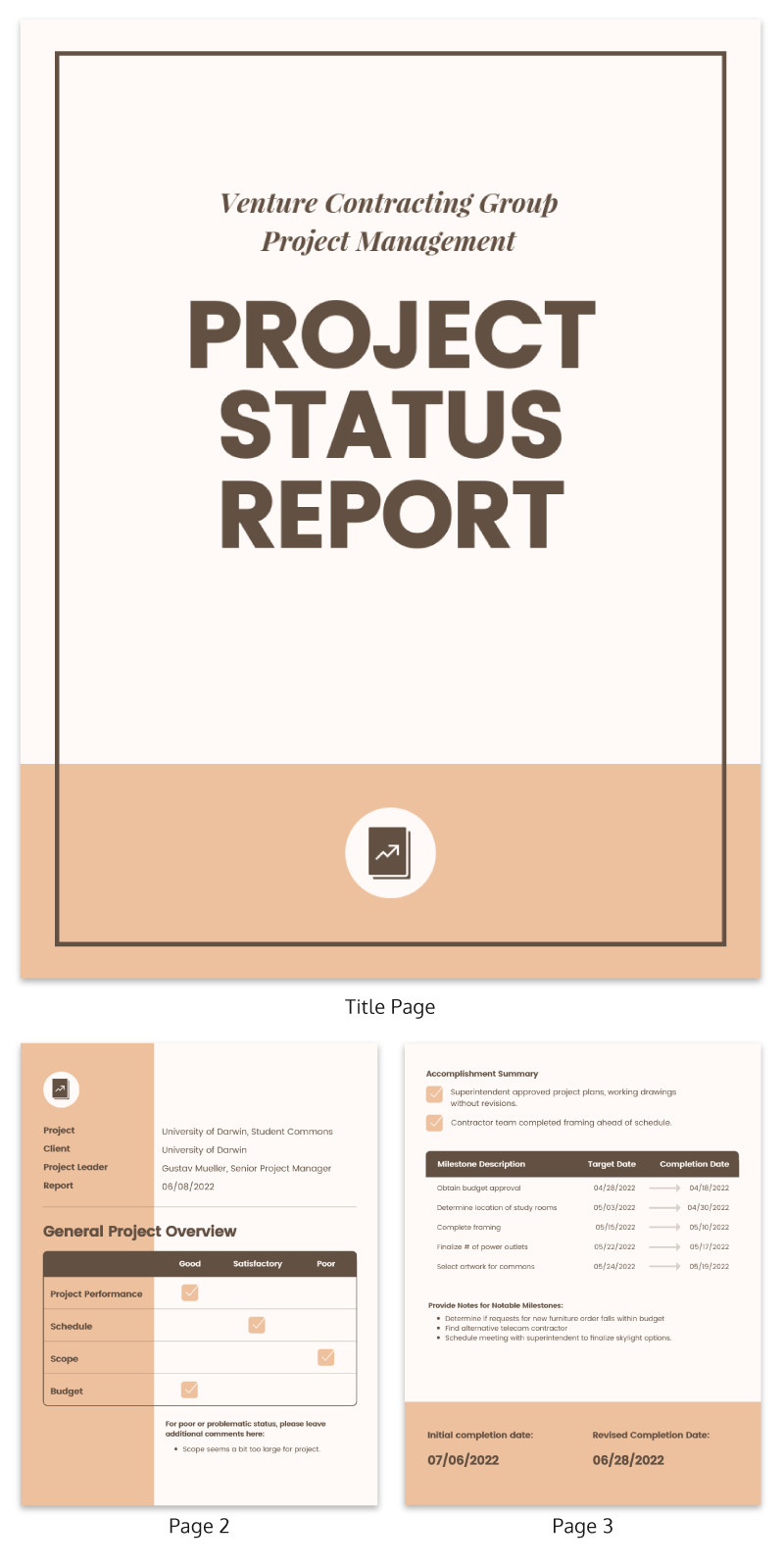 Project status report example