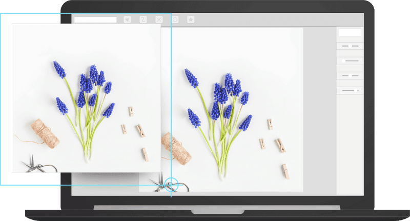 Screenshots make it easy to share specific content
