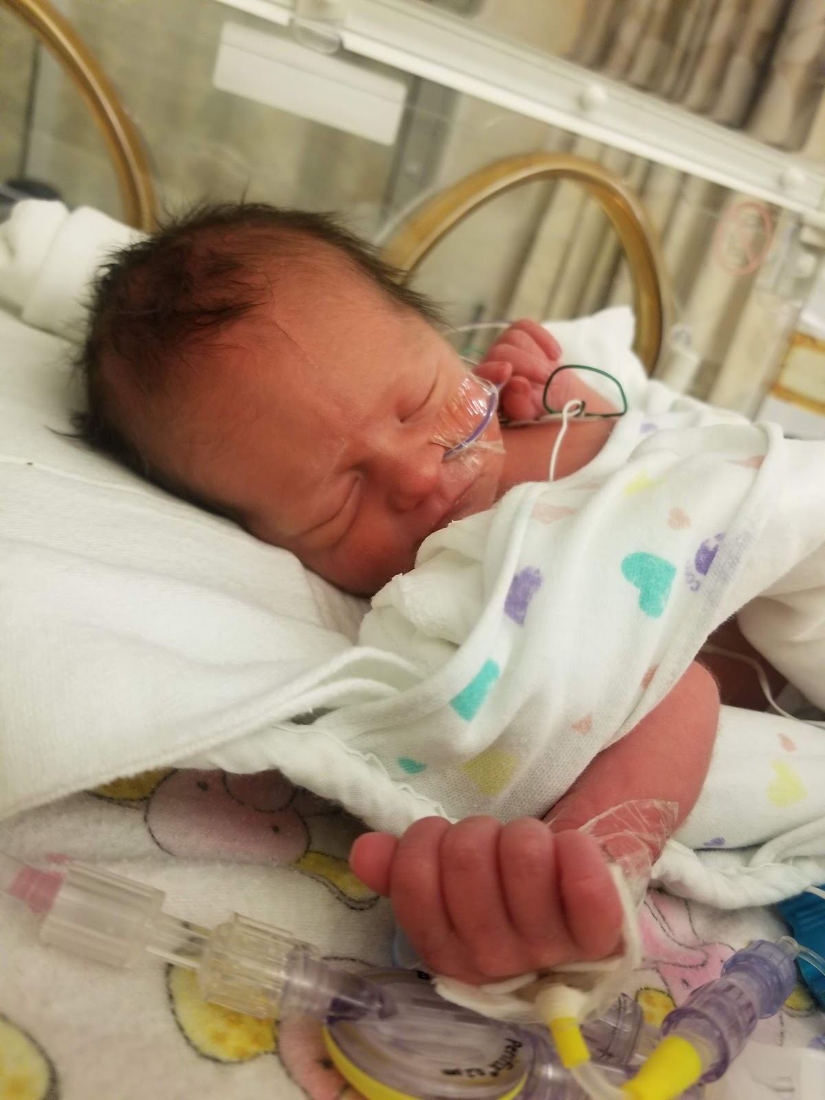 Maile Waite's baby Madison in the NICU