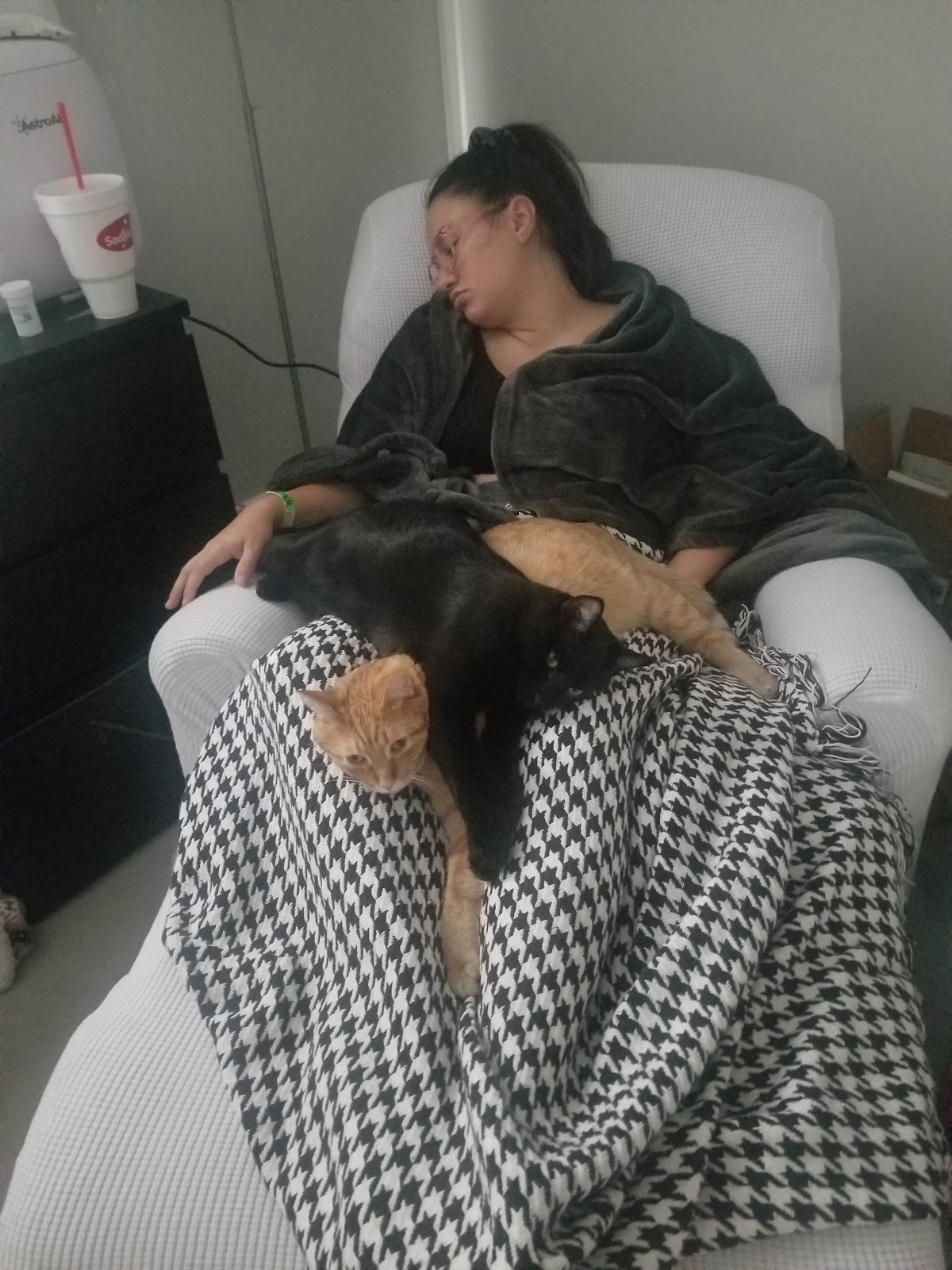 Maile Waite with her cats recovering from a c-section