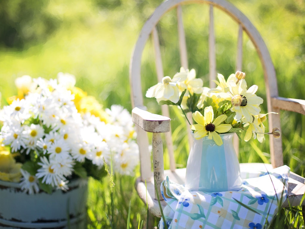 flowers on a chair outside in the summer