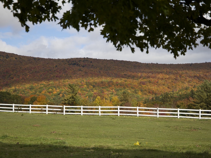 white fence