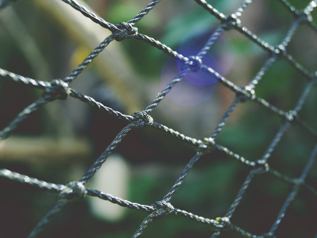 close up photo of a batting cage net