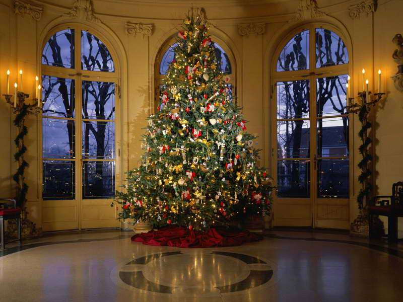 christmas tree in candle-lit room with large windows