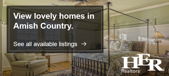 Homes for Sale in Amish Country