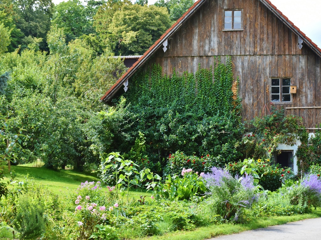 a barn surrounded by plants