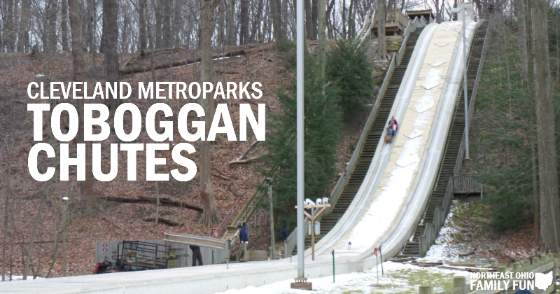 a toboggan chute in a forest