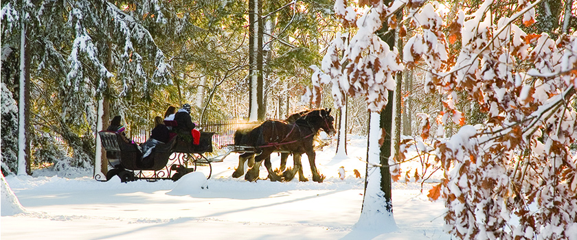 people riding on a horse carriage through the snow