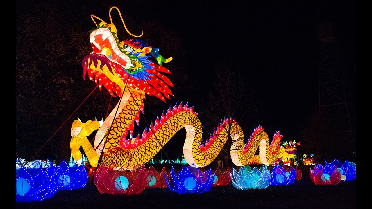 lit chinese dragon decoration