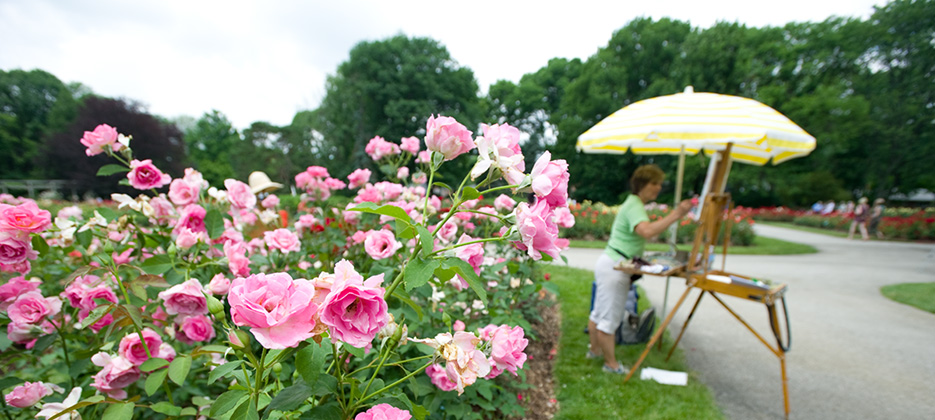Flowers at Park of Roses