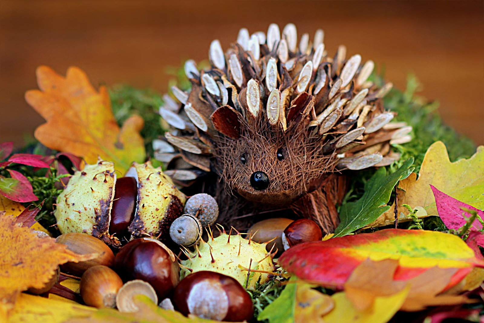 decorative hedgehog on fall leaves
