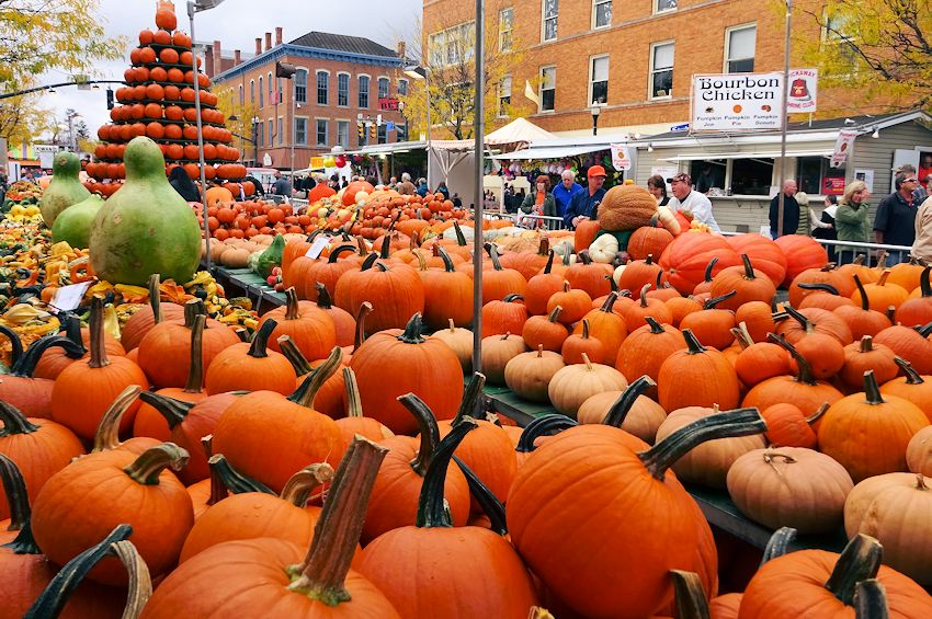 Huge pumpkin display at the annual Circleville Pumpkin Show