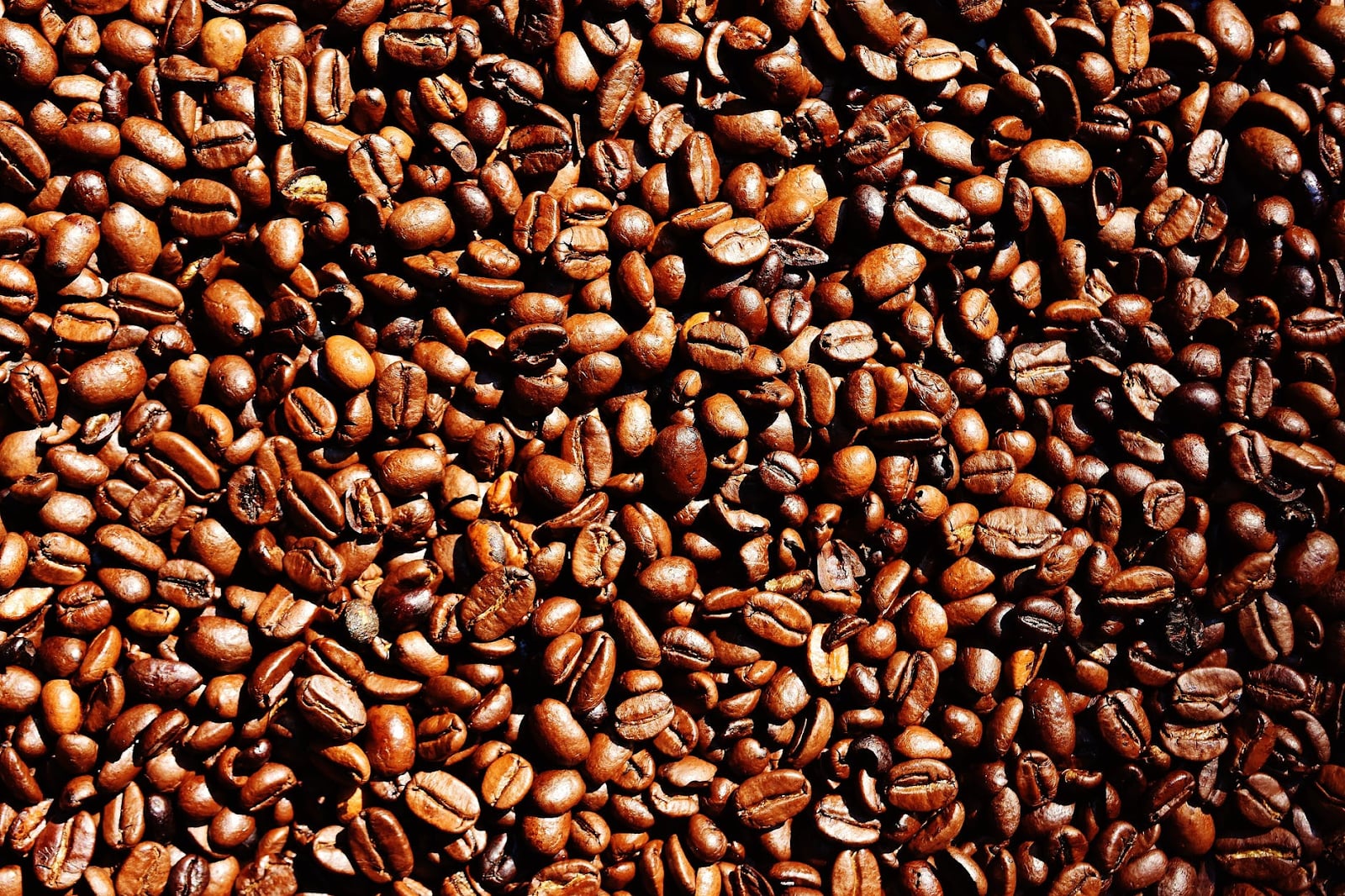 coffee beans