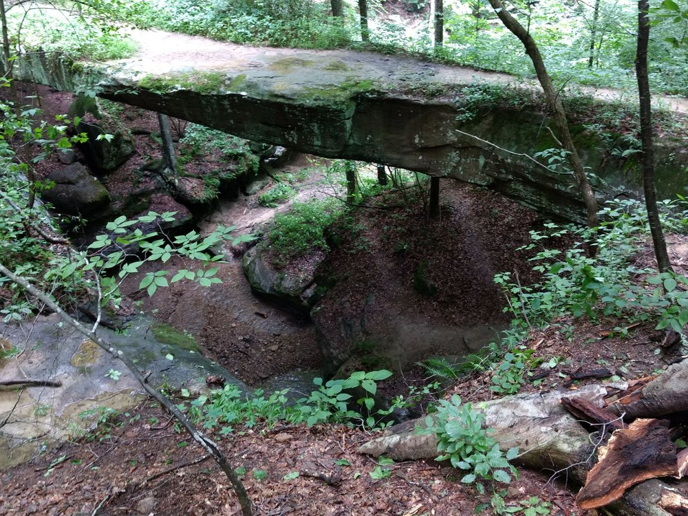 a mossy rock bridge that gives hikers passage over lower trails at rock bridge state nature preserve in lancaster, OH