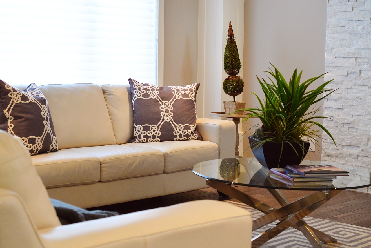 a couch and a houseplant in a living room