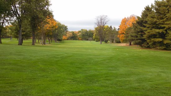 empty golf course at safari golf club