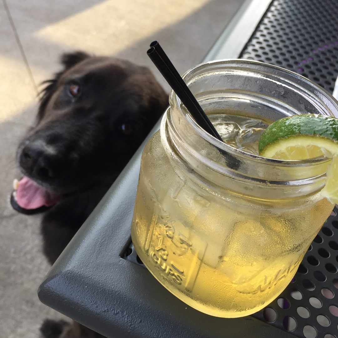 drink on a table with a dog in the background