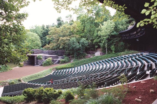 amphitheater seating in the middle of a forest