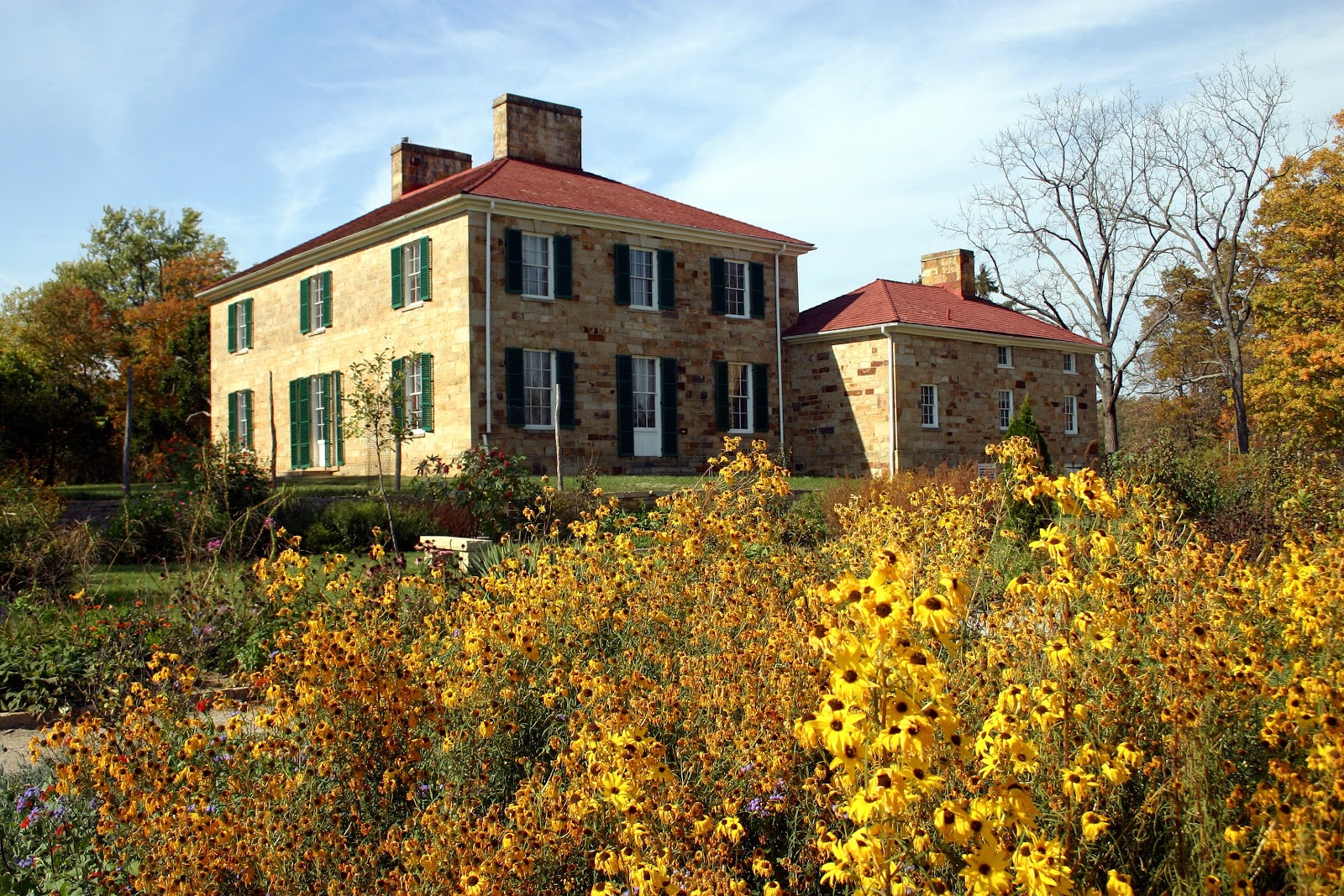 bush with sunflowers in front of mansion