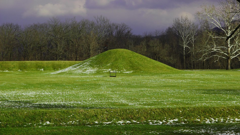 green hill with surrounding forest