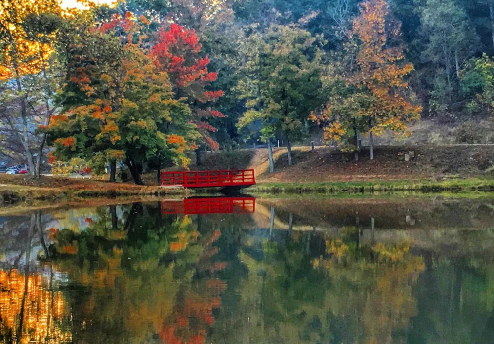 red bridge over water with surrounding autumn-colored forest