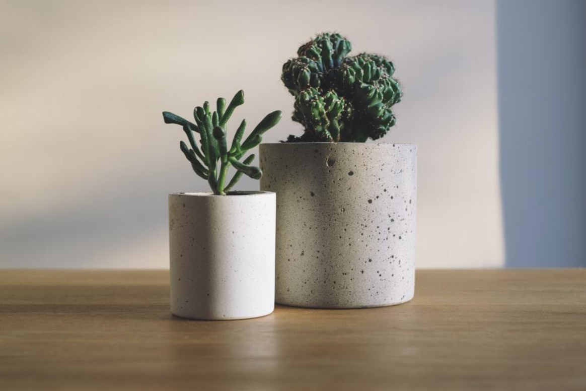 A pair of decorative succulents in stone textured pots