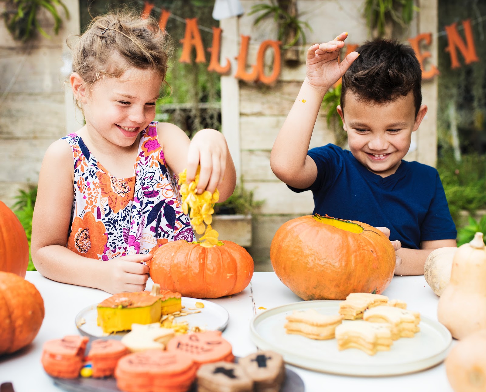 A boy and a girl enjoying a halloween party scoop seeds and pulp out of pumpkins