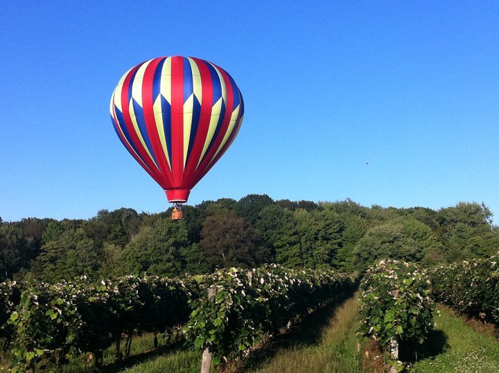 hot air balloon over Debonne vineyard