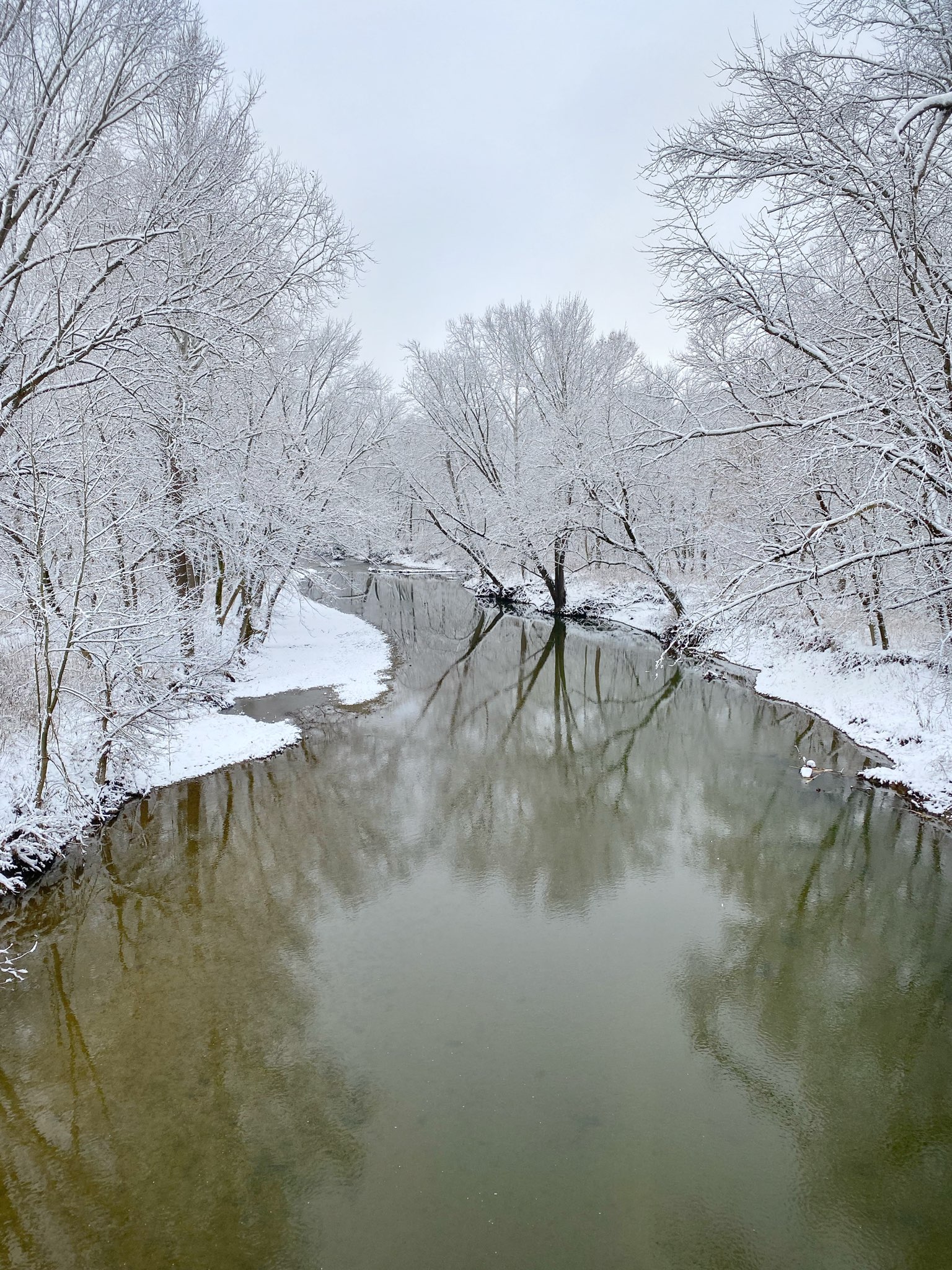 A snow covered river ground during a winter in Springfield.