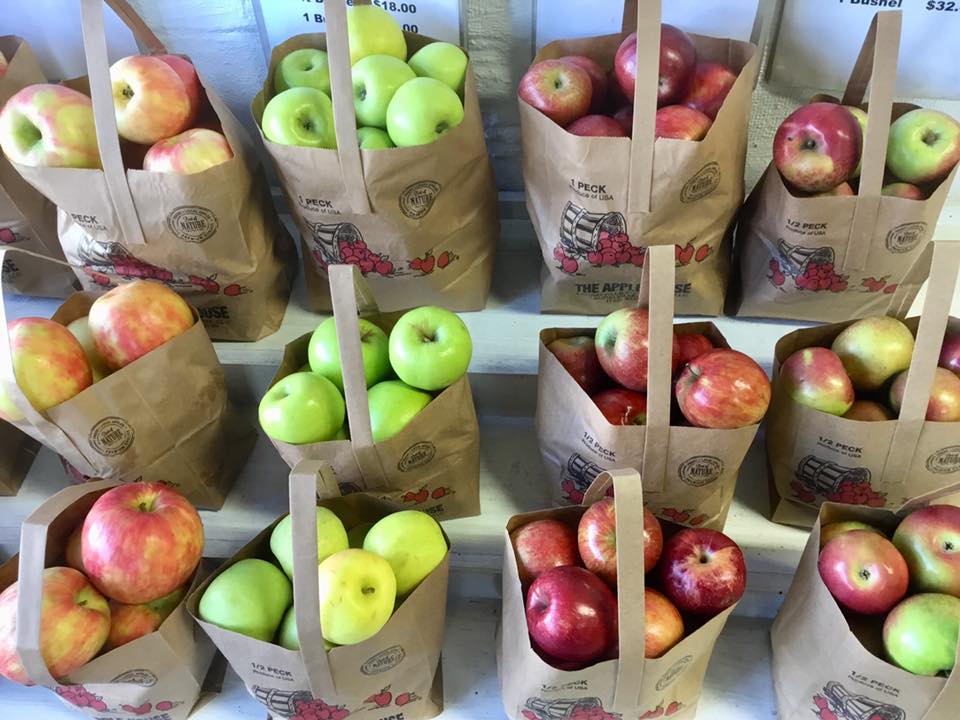 Shelves full of many kinds of apples bagged up and ready to go! 