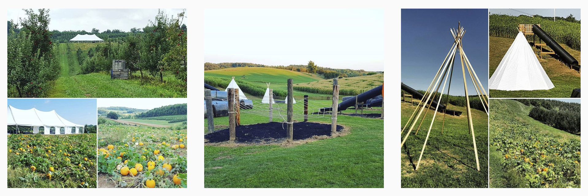 Three images in a row of the landscape or the orchard