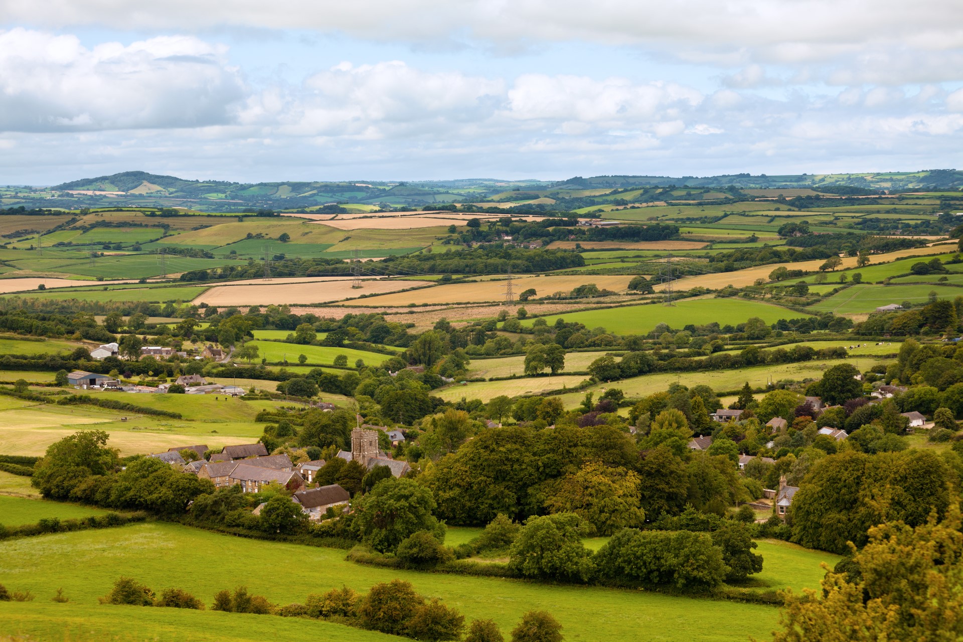 Axminster Devon Guide