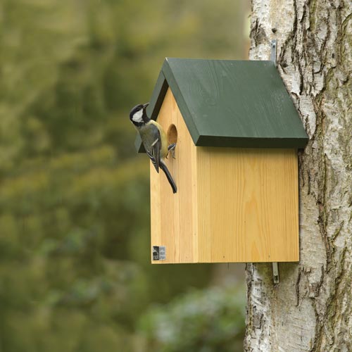 RSPB Bird Box