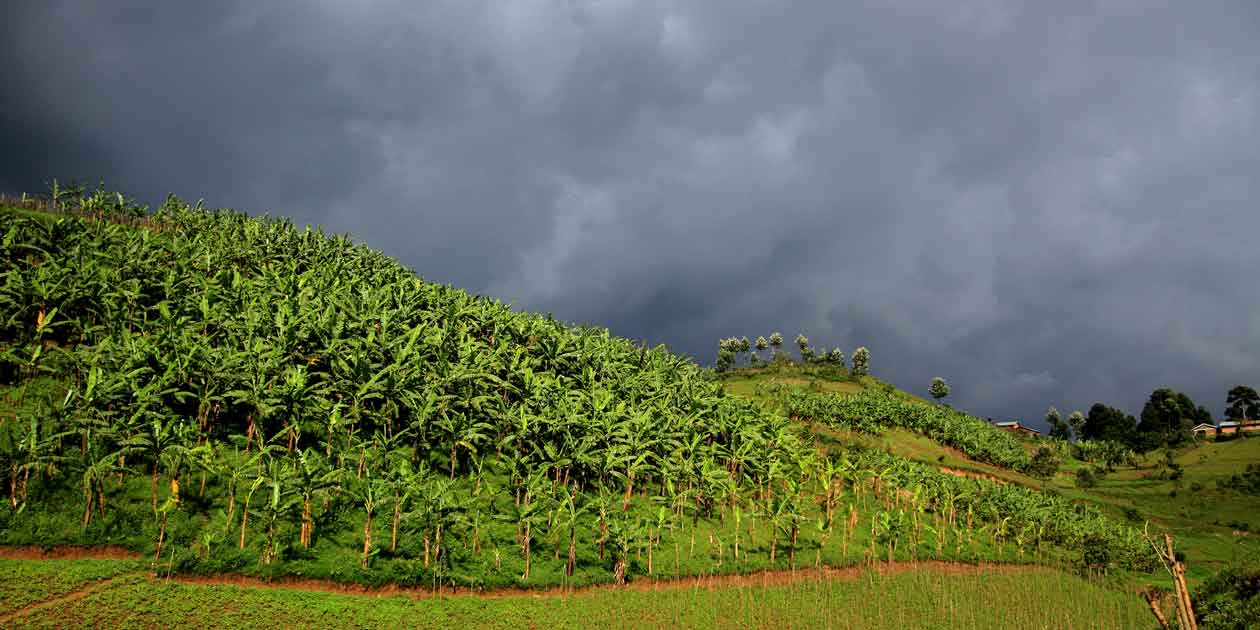 A storm gathers over farmland in the hills near Lake Mutanda, Uganda. Uganda’s farmers are under threat from increasing extreme weather events.