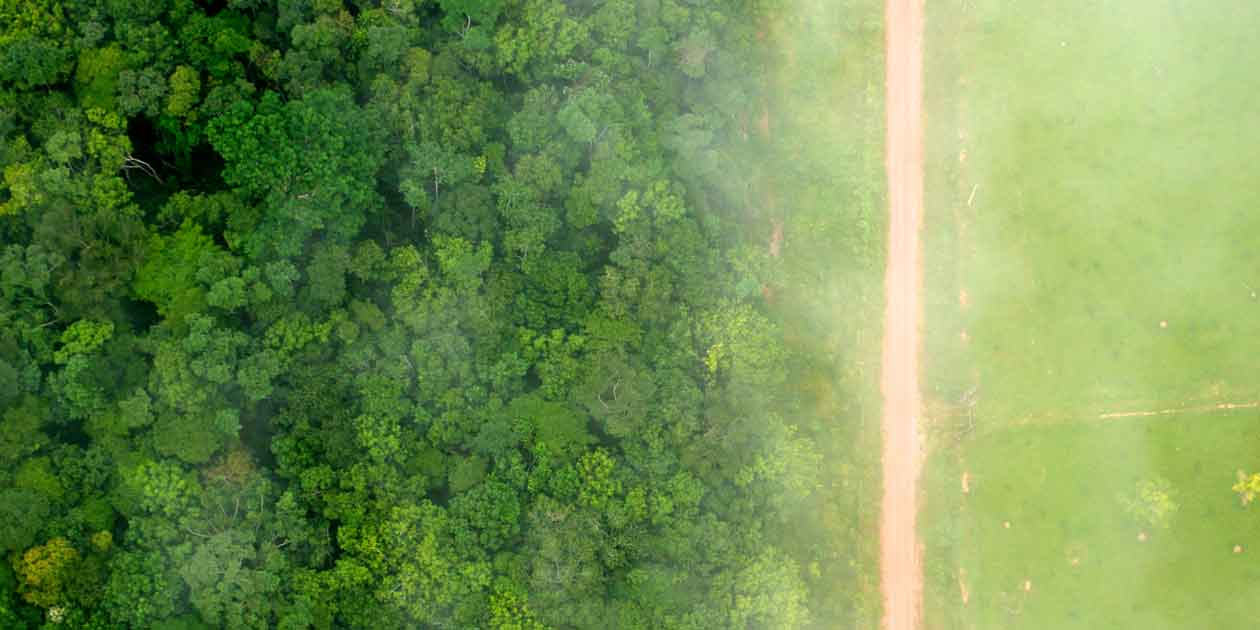 A bird's eye view of the stark contrast between the forest and agricultural landscapes near Rio Branco, Acre, Brazil. Photo by Kate Evans for Center for International Forestry Research (CIFOR), licensed under CC BY-NC 2.0.