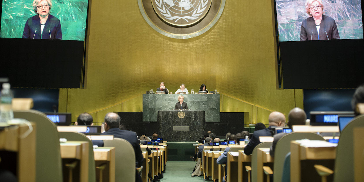 Opening of the UN Statistical Commission’s 48th Session in March, 2017. Photo by UN Photo/Manuel Elias, fair use.