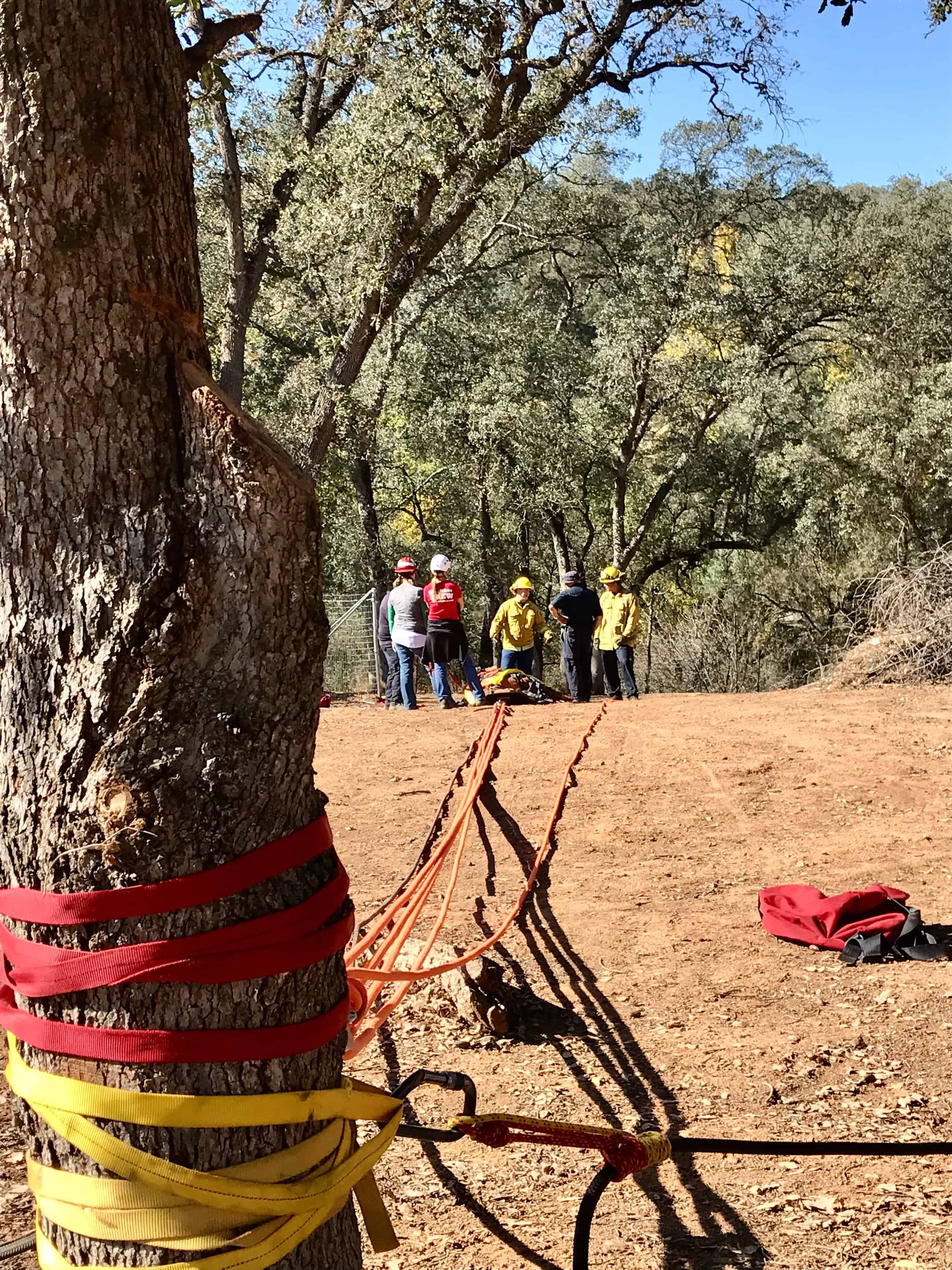 Technical Large Animal Rescue | Hardware, Software, Jump Kits