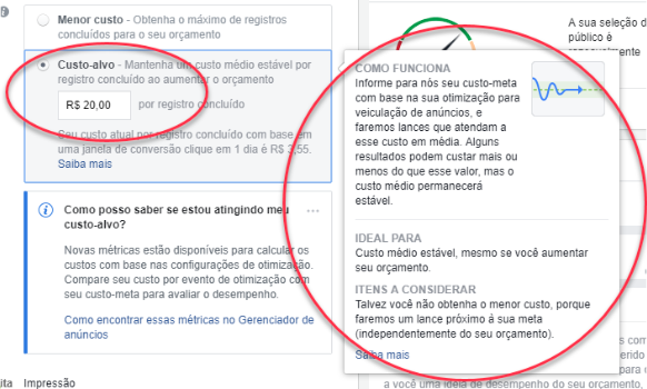 Com o custo médio, o Facebook tenta manter o seu custo dentro do valor definido, podendo às vezes oscilar para mais ou para menos. O valor que você define é, na verdade, a média dos lances. 