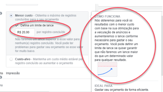 Investir no lance manual com custo máximo, o Facebook te entrega leads muito mais qualificados.