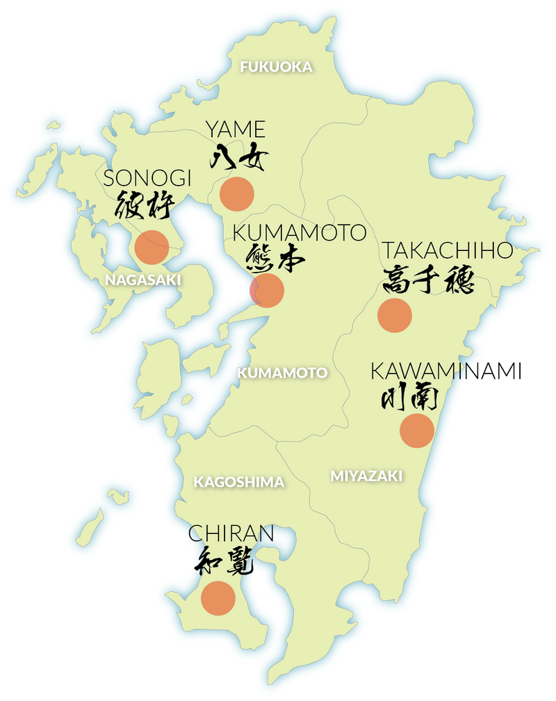 IKKYU Premium Japanese Green Tea from Kyushu