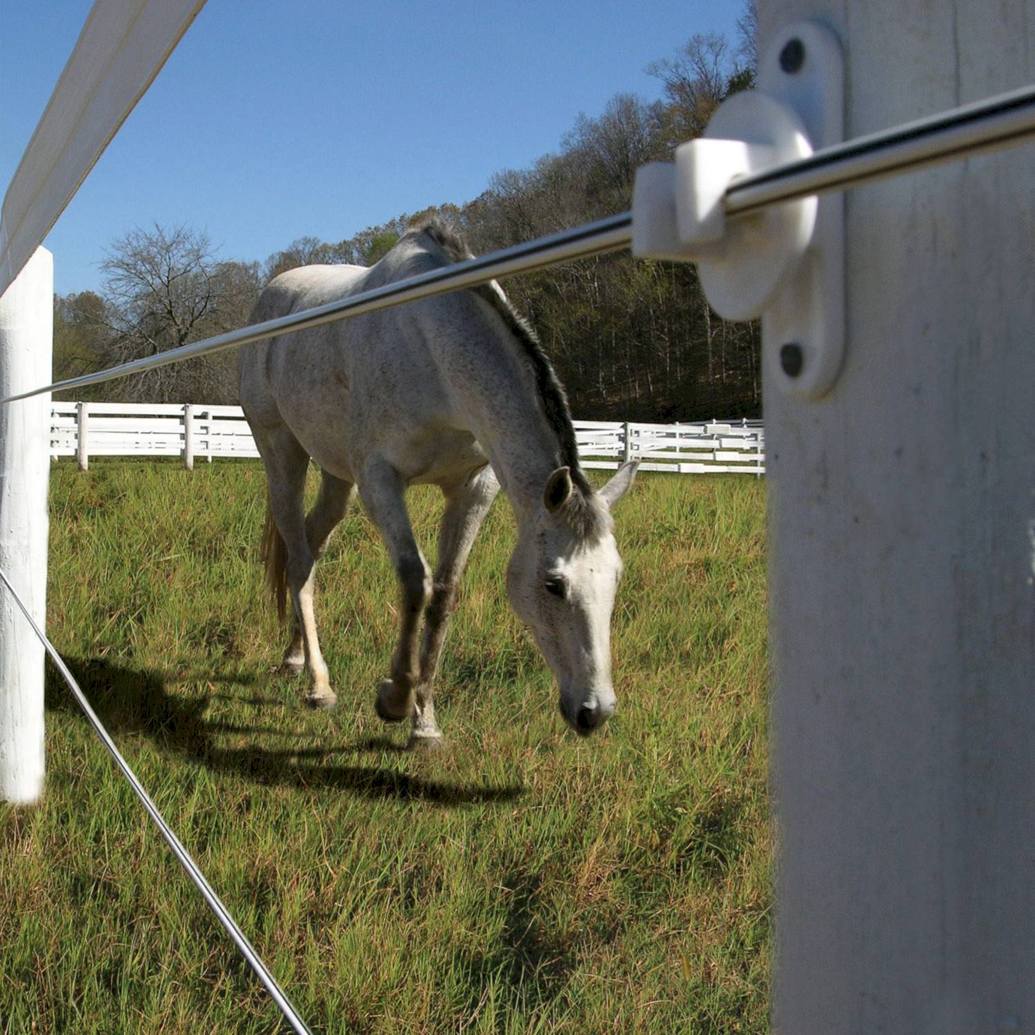 White Lightening Electric Wire