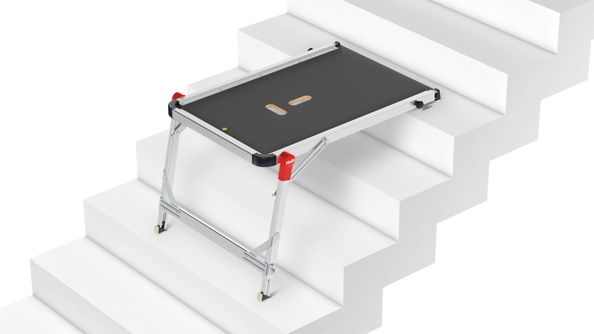 Hailo TP1 Ladder Platform