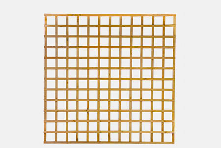 Castlewall Trellis