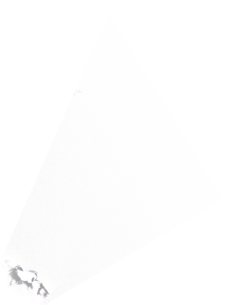 Polarity/1, Polar Levine, Polarity1, polarity-1.com