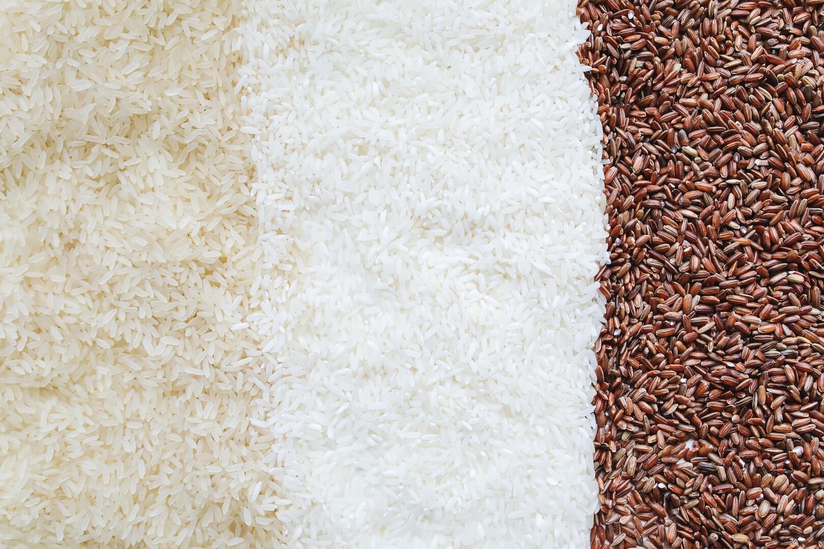 How to Sell Bulk Grains & Where to Sell Bulk Grains