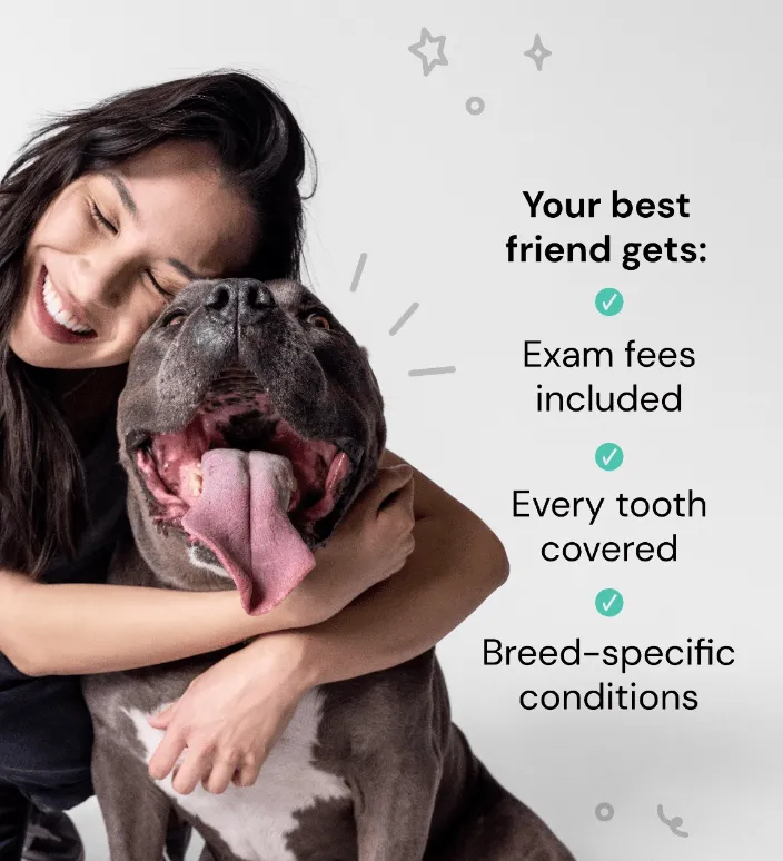 Pet Insurance Best Pet Insurance Canada Emma