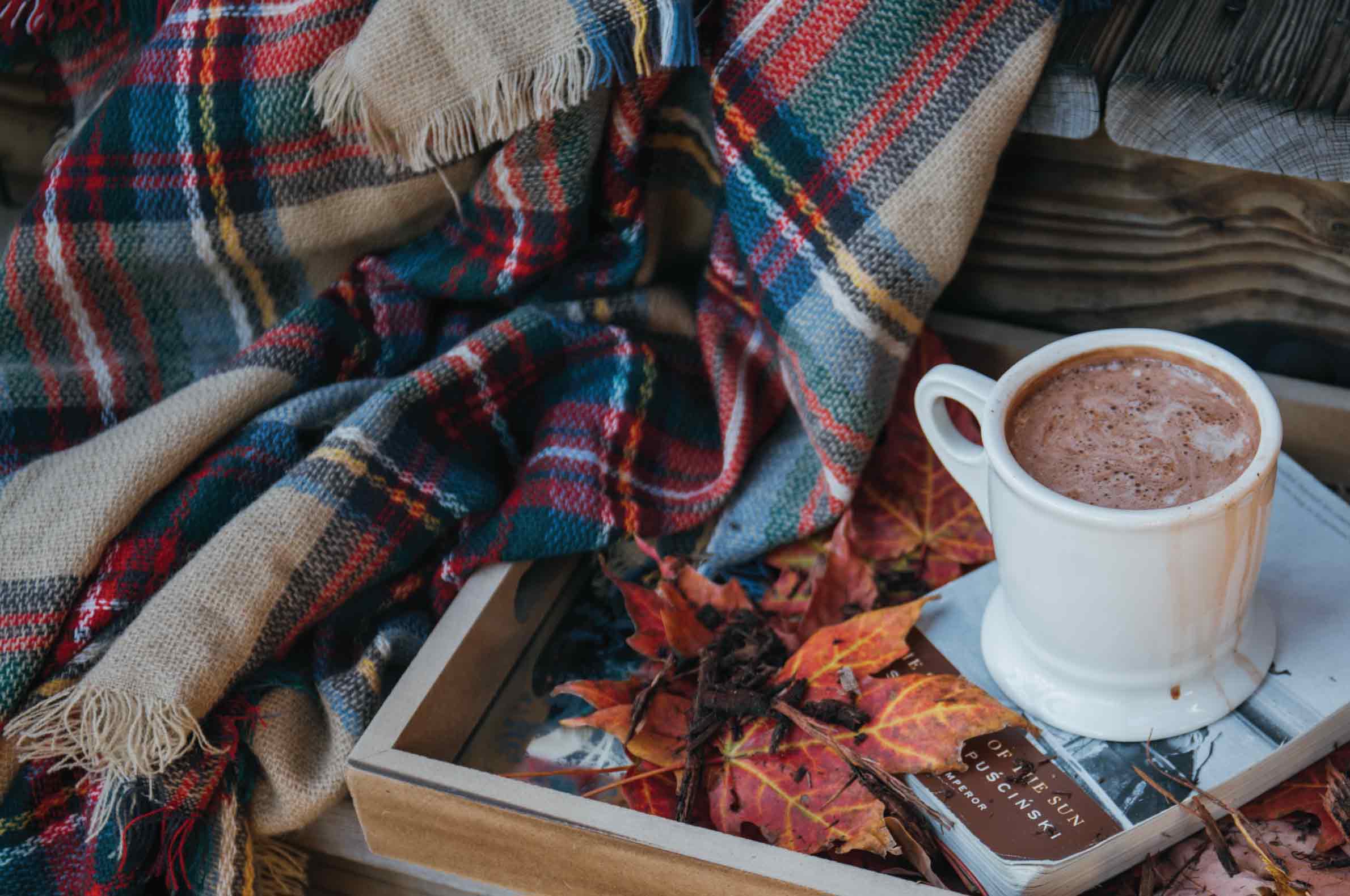 Best Blanket