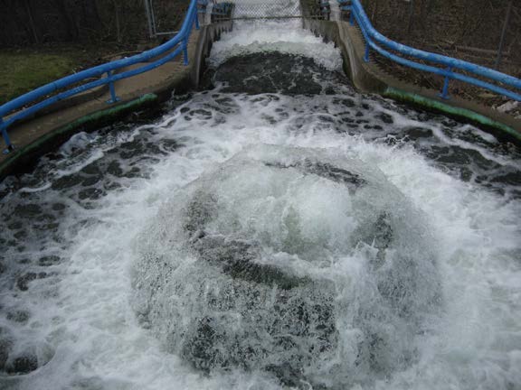 chlorination and dechlorination of wastewater